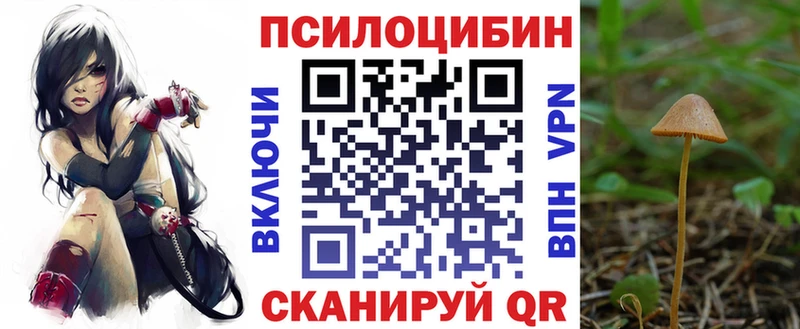 Псилоцибиновые грибы мицелий  дарнет шоп  Ленск 